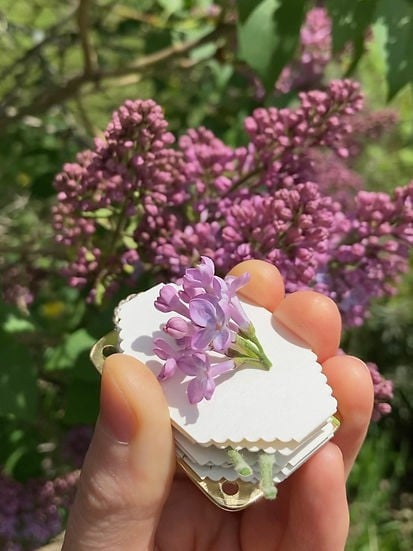 Boneroshop | Mini Flower Press | Compact Botanical Keepsake Maker | Portable Craft Tool