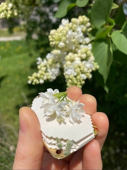 Boneroshop | Mini Flower Press | Compact Botanical Keepsake Maker | Portable Craft Tool