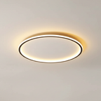 Modern Ceiling Light – Roomlight
