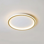 Modern Ceiling Light – Roomlight