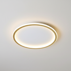 Modern Ceiling Light – Roomlight