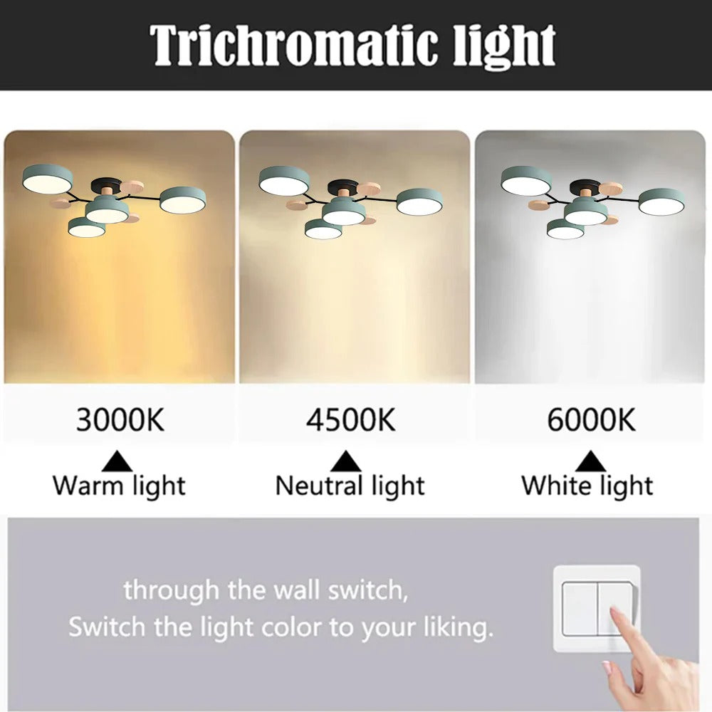 Modern LED Ceiling Light – Flush Mount Chandelier