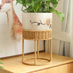 Modern Plant Stand with Woven Basket and Metal Frame