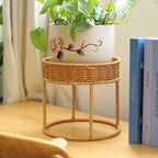 Modern Plant Stand with Woven Basket and Metal Frame