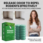 Natural Mint Essence Rodent Deterrent Tablets – 12-Pack