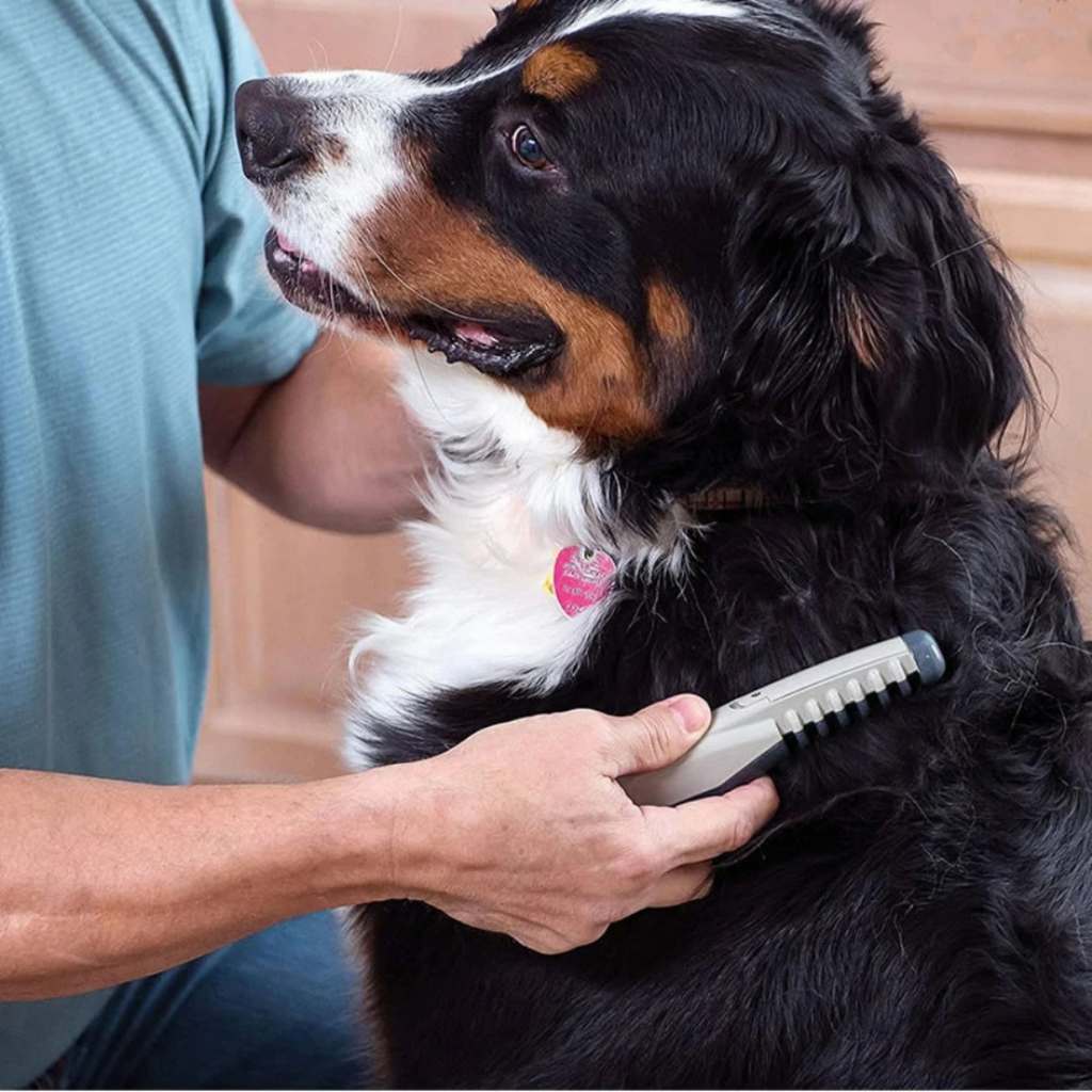 Boneroshop | No more knots and tangles for your pet