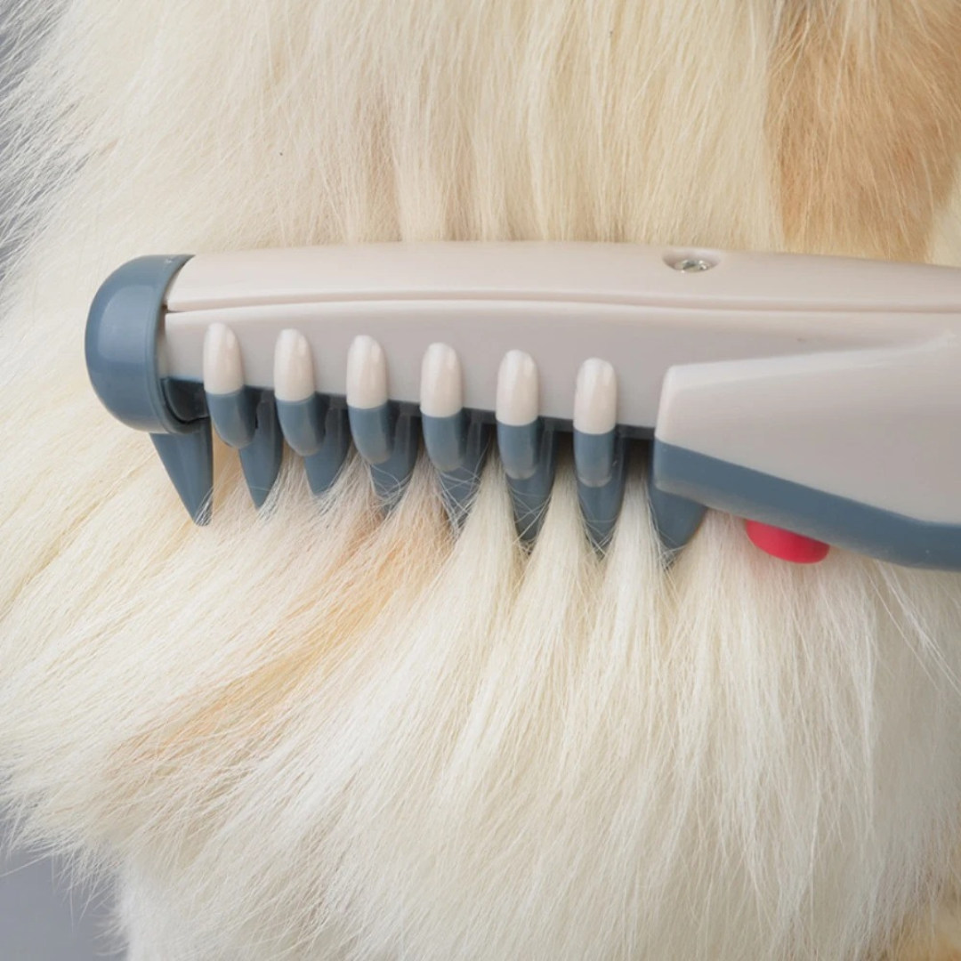 Boneroshop | No more knots and tangles for your pet