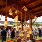 Outdoor String Lights with Solar Panel