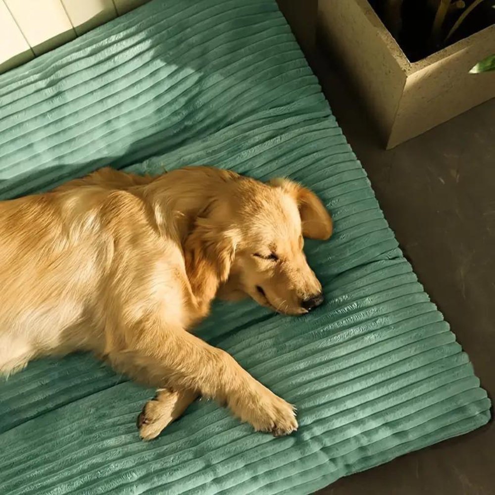 Oversized Corduroy Pet Bed