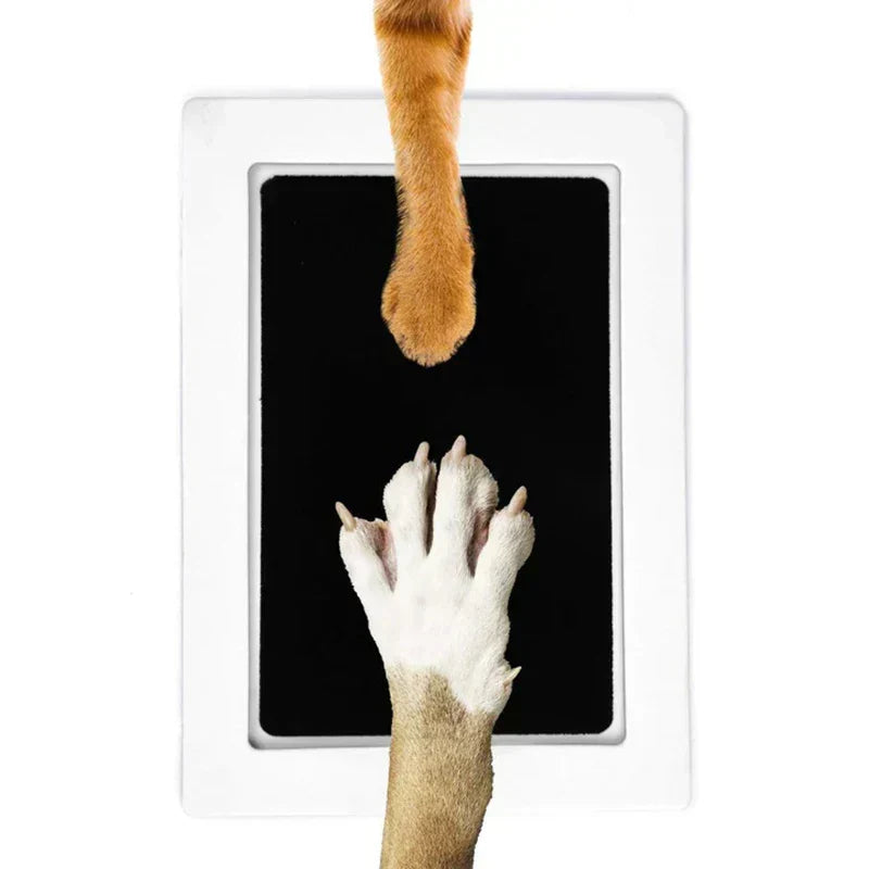 Paw Print Keepsake Set