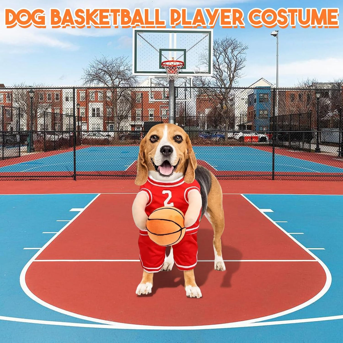 PawChic Luxe Dog Basketball Set – Stylish Outfit with Matching Ball for Active Pups