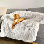 PAWCLOUD SOFA – Cosy Pet Bed with Raised Border and Furniture Guard