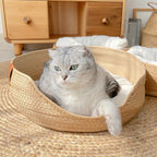 Pet Bed | Woven Bamboo & Raised Side Walls