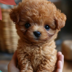 Plush Toy Interactive Dog Realistic Moving Soft Puppy