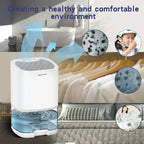 Portable Dehumidifier with Drain Hose for Basement Crawl Space and Air Purifier 1 Litre