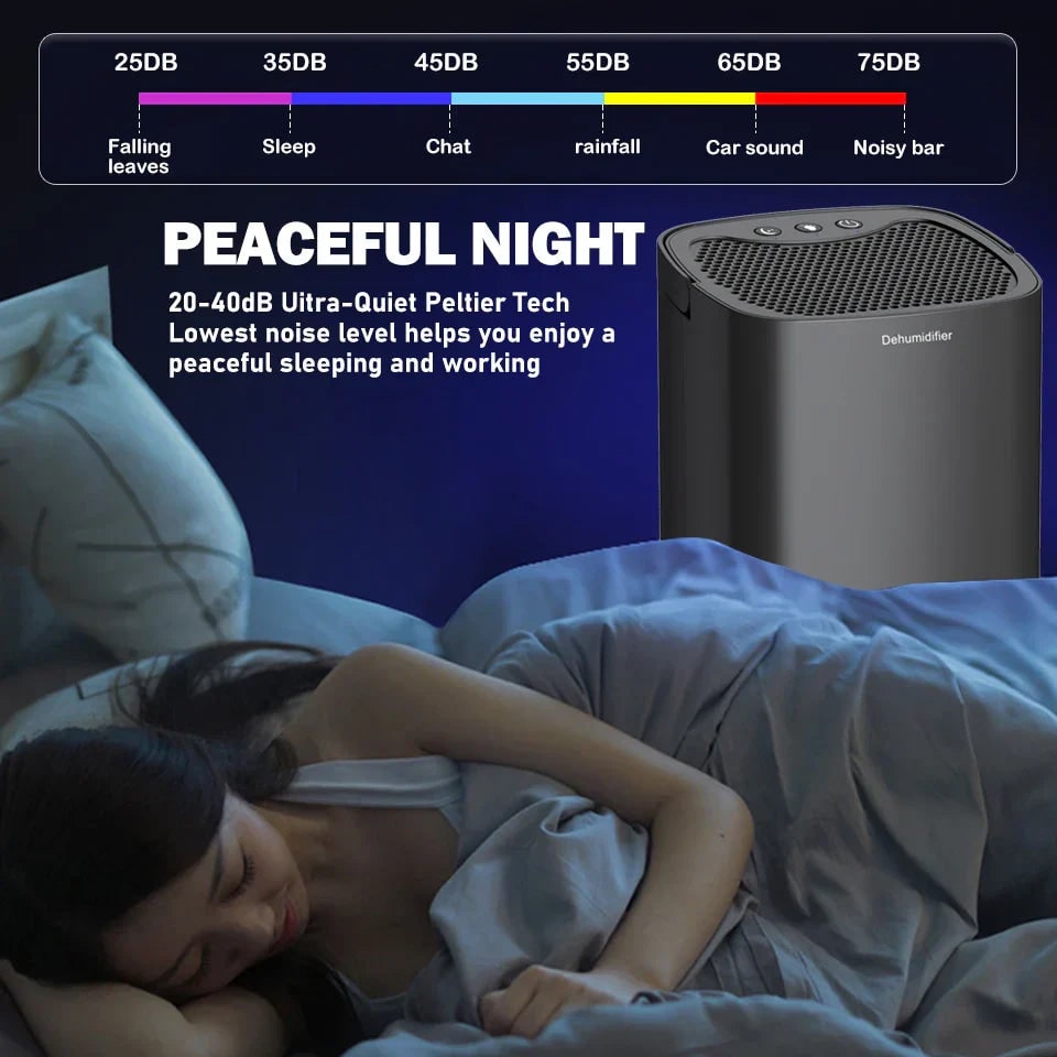 Portable Dehumidifier with Drain Hose for Basement Crawl Space and Air Purifier 1 Litre