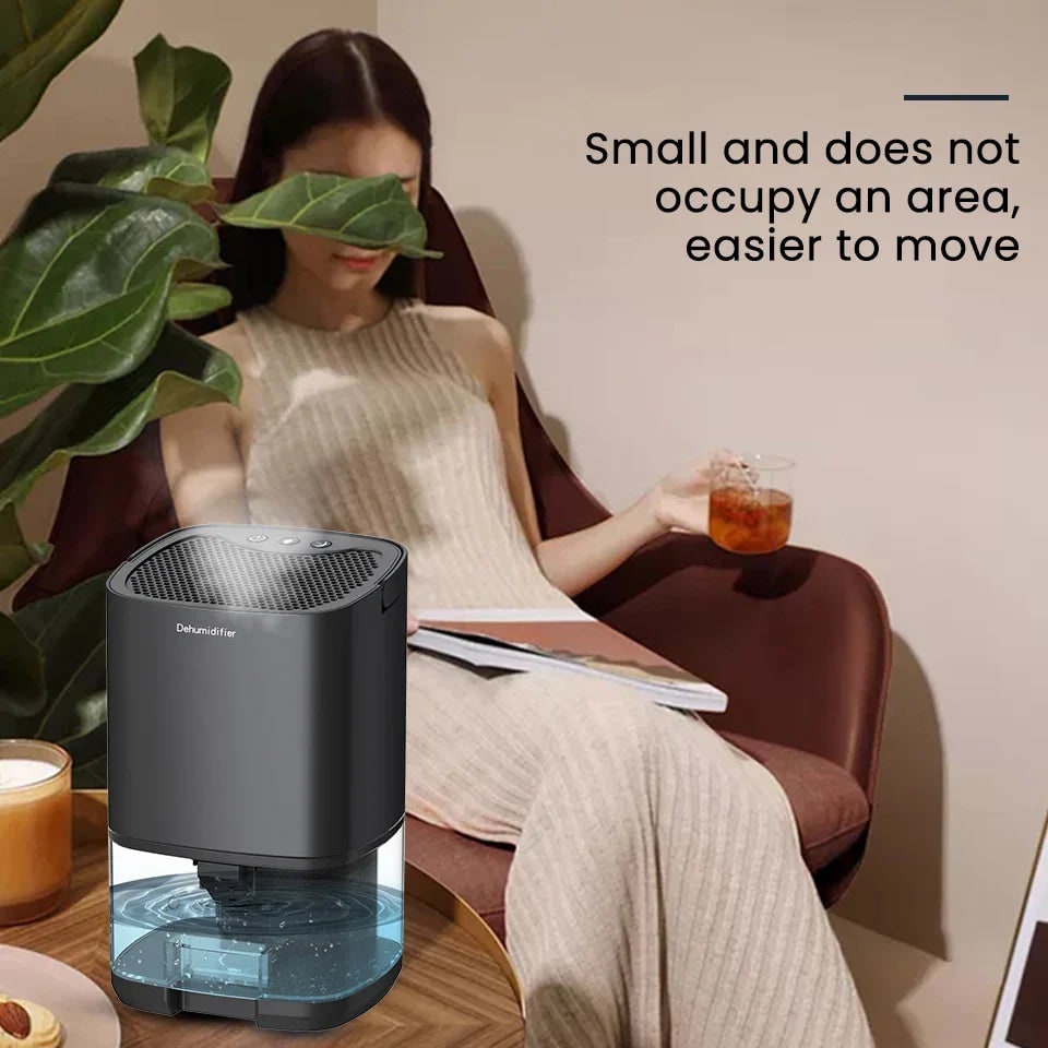 Portable Dehumidifier with Drain Hose for Basement Crawl Space and Air Purifier 1 Litre