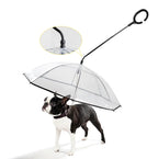 RainGuard Transparent Dog Umbrella