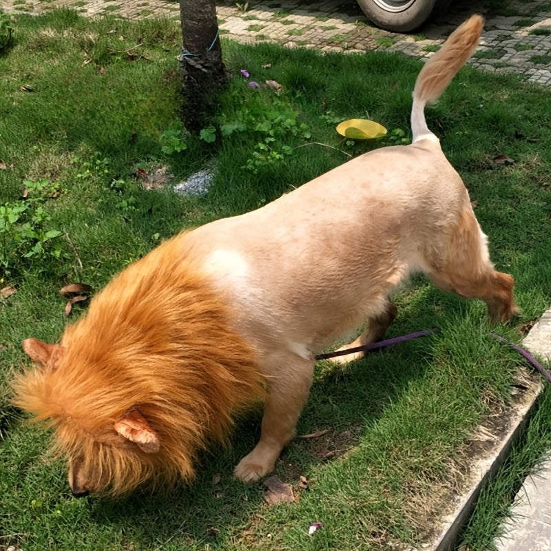 Realistic lion mane dog costume – adjustable lightweight Halloween outfit