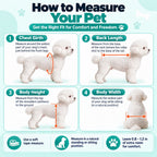 Rear Leg Pet Wheelchair for Cats & Small Dogs – Mobility Support for Weak Hind Legs & Daily Walking