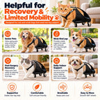 Rear Leg Pet Wheelchair for Cats & Small Dogs – Mobility Support for Weak Hind Legs & Daily Walking