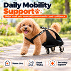 Rear Leg Pet Wheelchair for Cats & Small Dogs – Mobility Support for Weak Hind Legs & Daily Walking