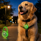 Rechargeable Clip-On LED Dog Safety Light for Night Walks – Keeps Pets Visible During Evening Walks, Jogging & Outdoor A