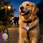 Rechargeable Clip-On LED Dog Safety Light for Night Walks – Keeps Pets Visible During Evening Walks, Jogging & Outdoor A