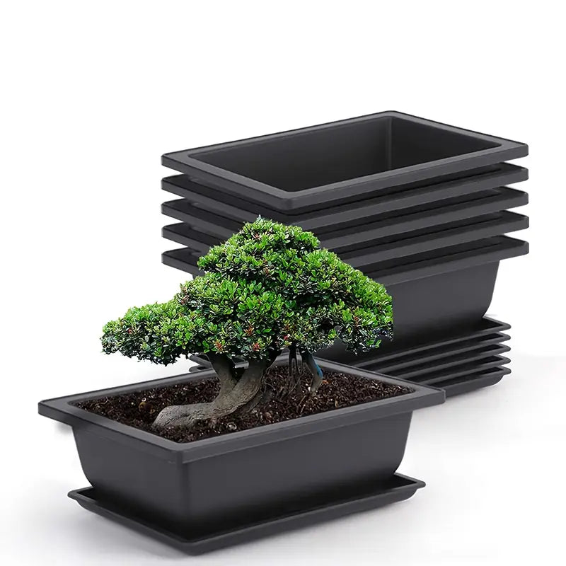 Rectangular Plant Pot with Saucer for Garden and Balcony
