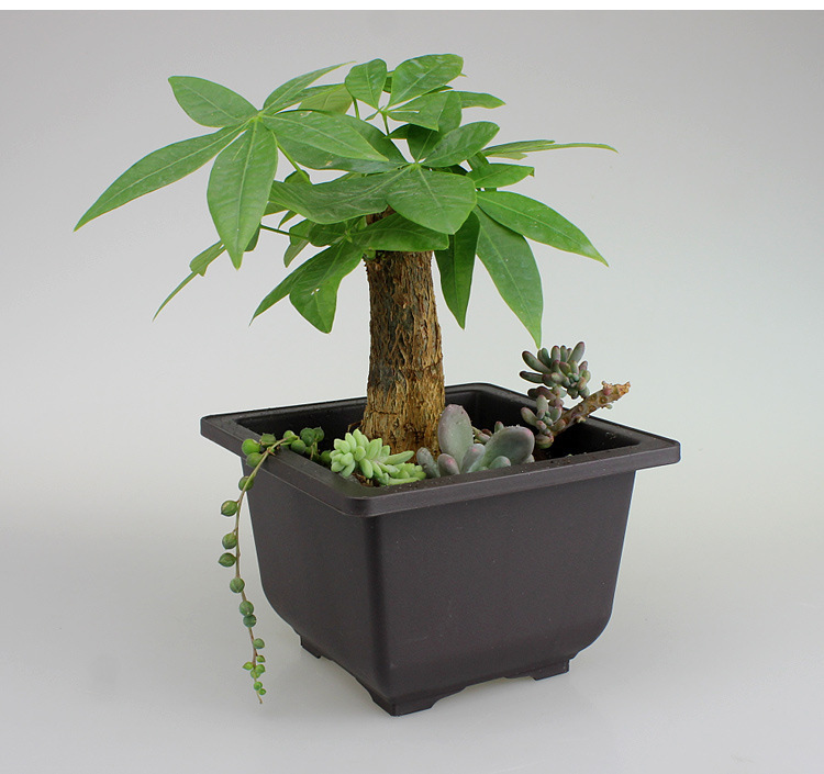 Rectangular Plant Pot with Saucer for Garden and Balcony