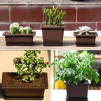 Rectangular Plant Pot with Saucer for Garden and Balcony