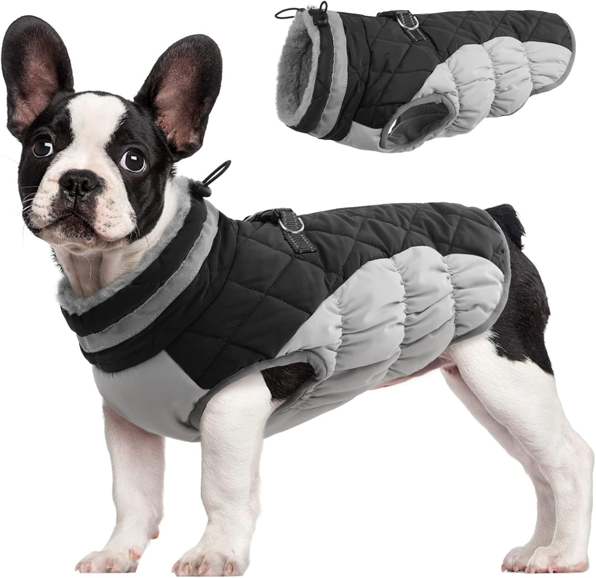 SafeWalk Winter Harness Jacket – Waterproof Dog Jacket with Reflective Strips and Fleece Lining