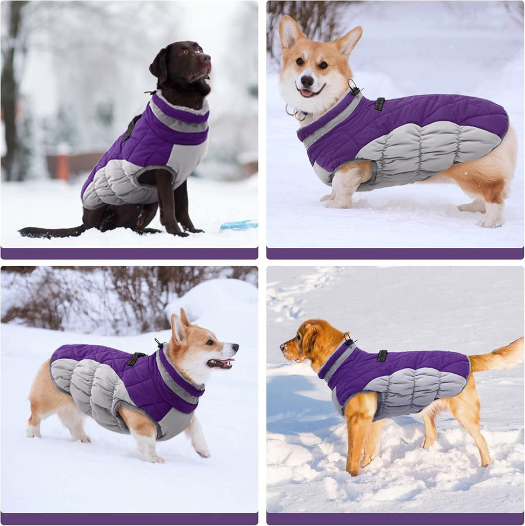 SafeWalk Winter Harness Jacket – Waterproof Dog Jacket with Reflective Strips and Fleece Lining