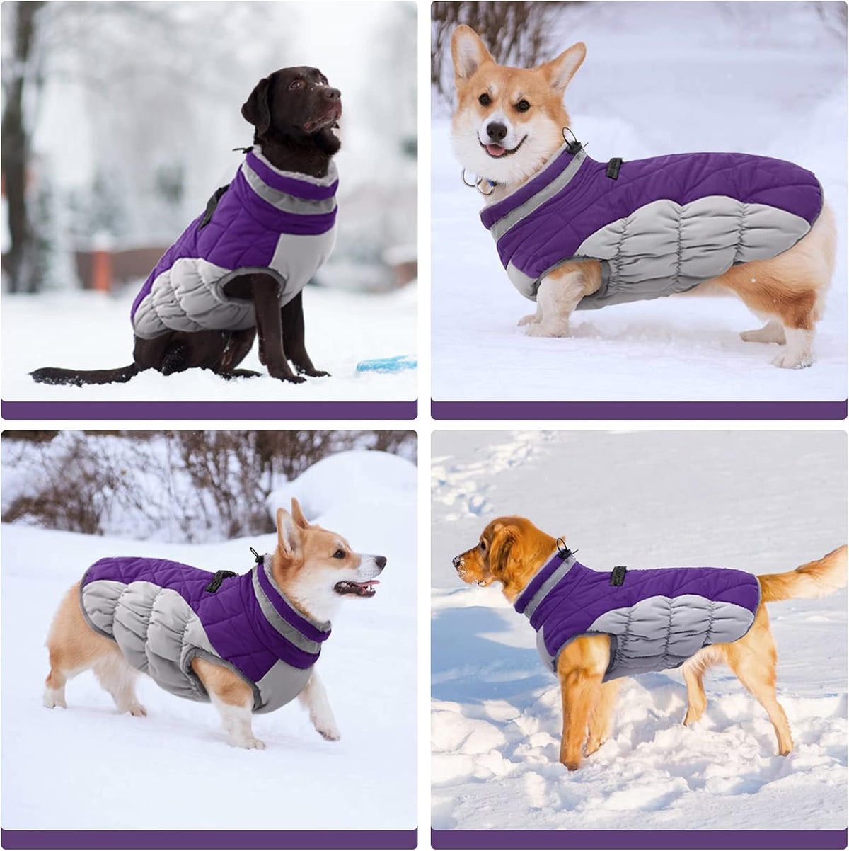 SafeWalk Winter Harness Jacket – Waterproof Dog Jacket with Reflective Strips and Fleece Lining