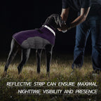 SafeWalk Winter Harness Jacket – Waterproof Dog Jacket with Reflective Strips and Fleece Lining