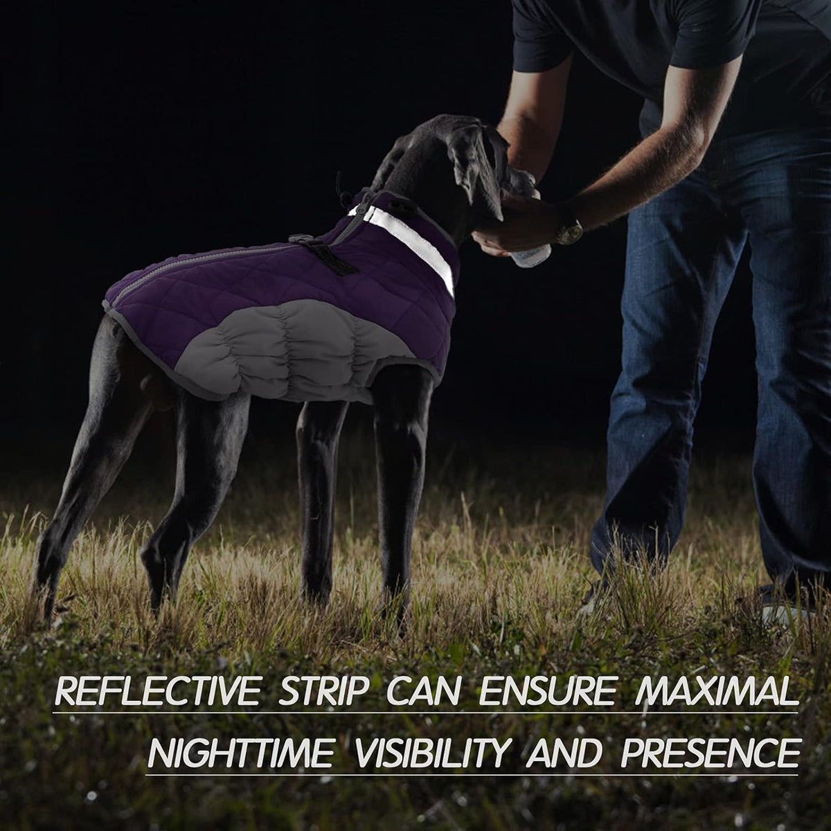 SafeWalk Winter Harness Jacket – Waterproof Dog Jacket with Reflective Strips and Fleece Lining