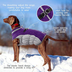 SafeWalk Winter Harness Jacket – Waterproof Dog Jacket with Reflective Strips and Fleece Lining