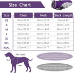 SafeWalk Winter Harness Jacket – Waterproof Dog Jacket with Reflective Strips and Fleece Lining