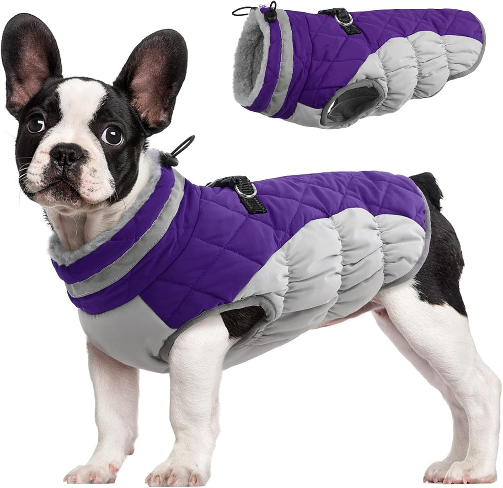 SafeWalk Winter Harness Jacket – Waterproof Dog Jacket with Reflective Strips and Fleece Lining
