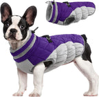 SafeWalk Winter Harness Jacket – Waterproof Dog Jacket with Reflective Strips and Fleece Lining