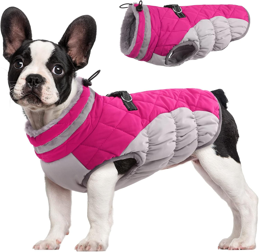 SafeWalk Winter Harness Jacket – Waterproof Dog Jacket with Reflective Strips and Fleece Lining