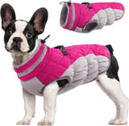 SafeWalk Winter Harness Jacket – Waterproof Dog Jacket with Reflective Strips and Fleece Lining