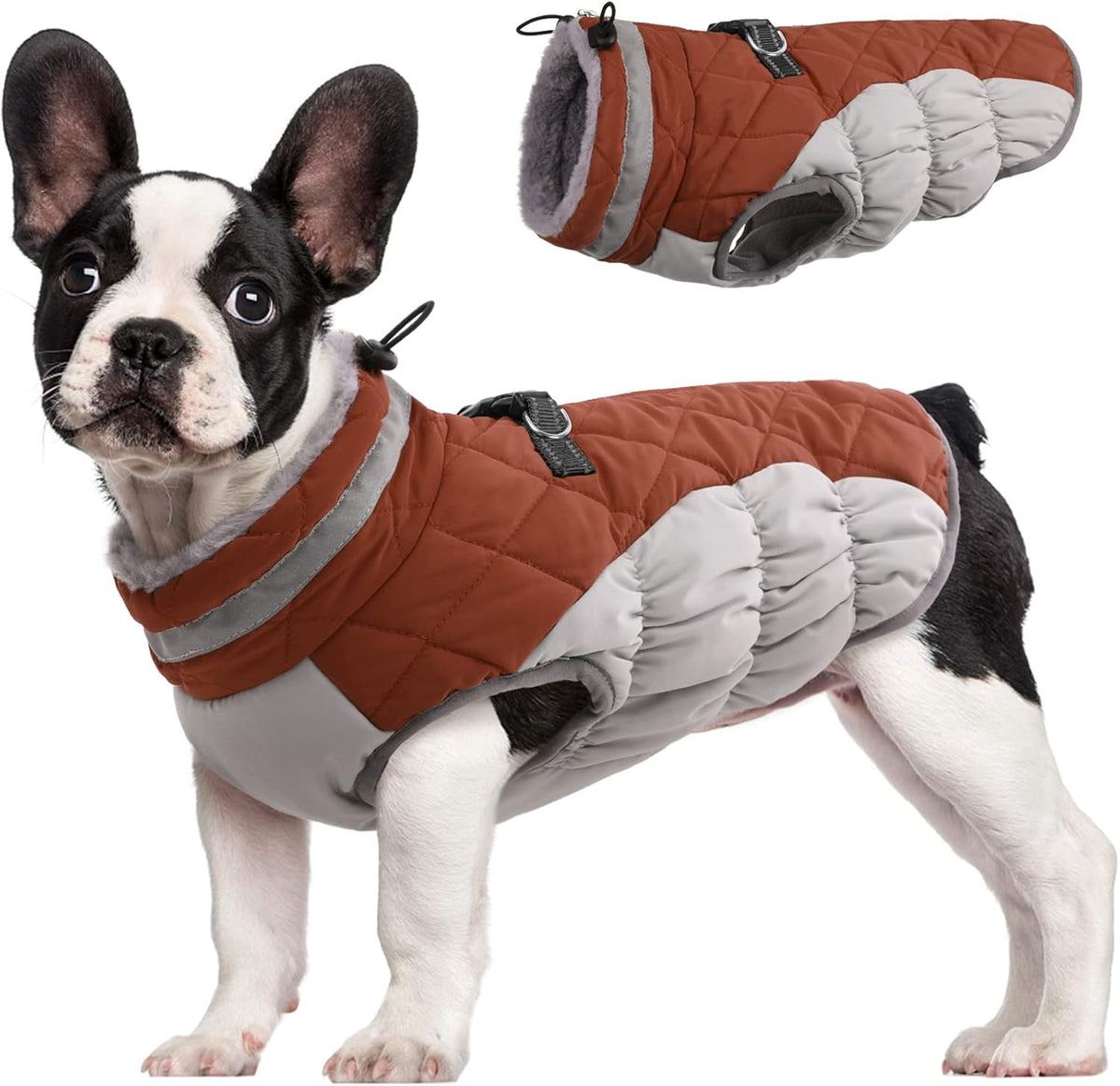 SafeWalk Winter Harness Jacket – Waterproof Dog Jacket with Reflective Strips and Fleece Lining