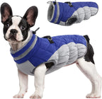 SafeWalk Winter Harness Jacket – Waterproof Dog Jacket with Reflective Strips and Fleece Lining
