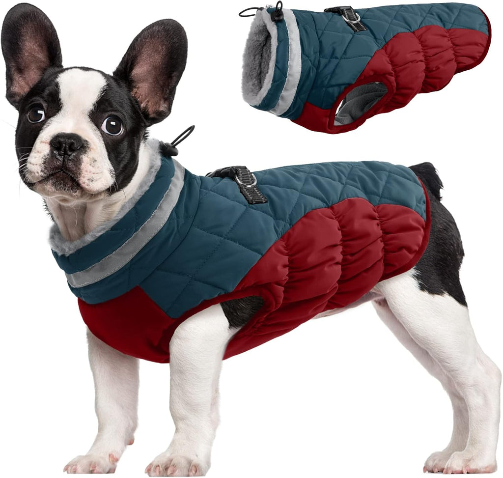 SafeWalk Winter Harness Jacket – Waterproof Dog Jacket with Reflective Strips and Fleece Lining