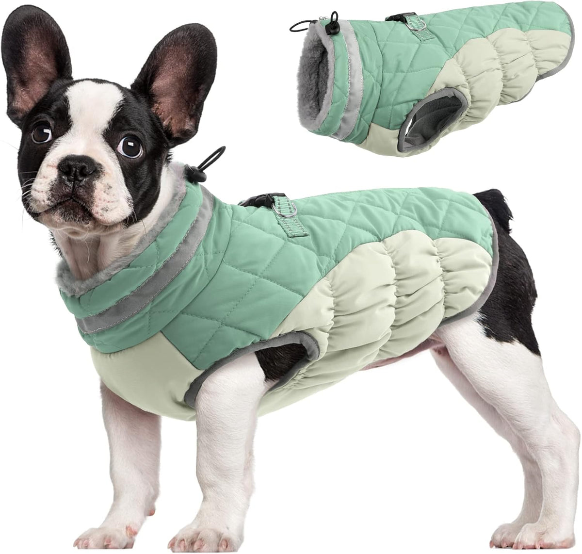 SafeWalk Winter Harness Jacket – Waterproof Dog Jacket with Reflective Strips and Fleece Lining