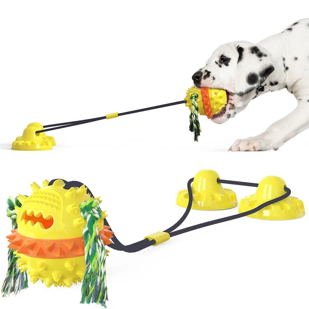 Self-Moving Dog Toy Ball, Chew Bars, Indoor/Outdoor Chase Play