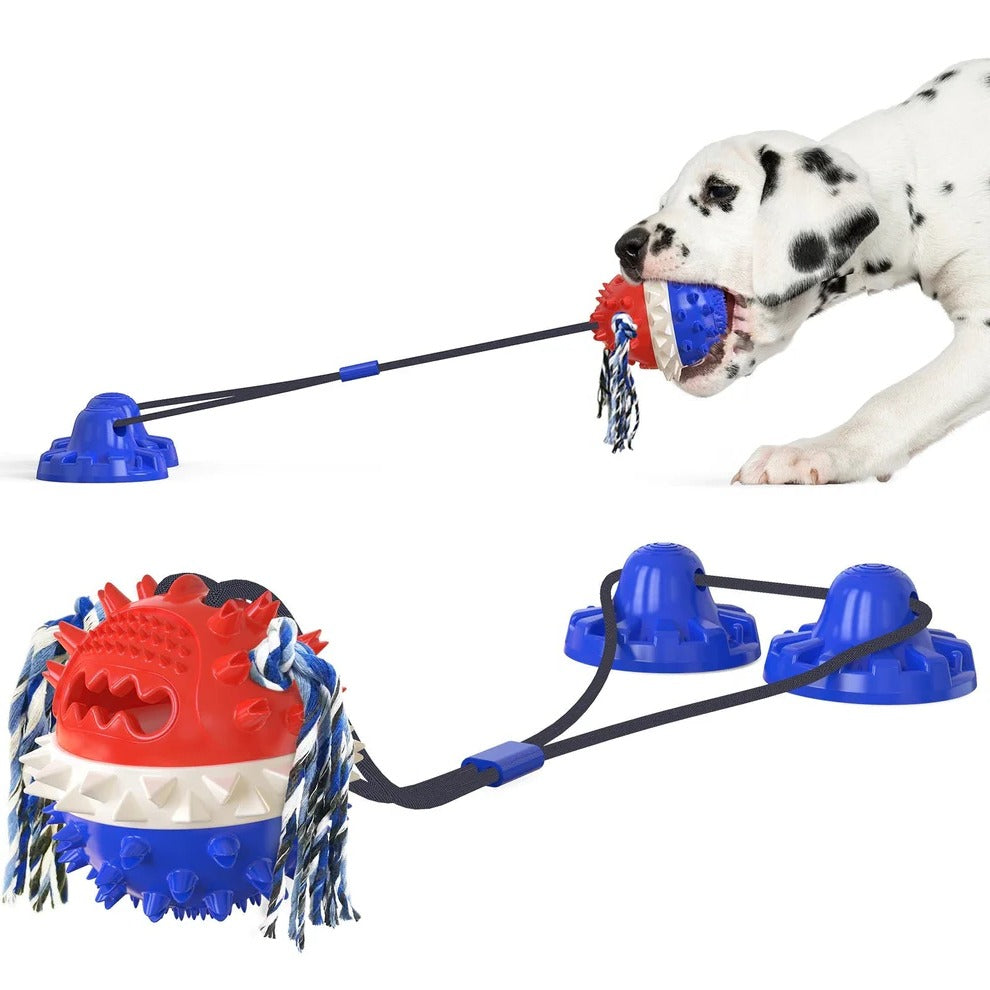 Self-Moving Dog Toy Ball, Chew Bars, Indoor/Outdoor Chase Play