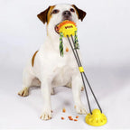 Self-Moving Dog Toy Ball, Chew Bars, Indoor/Outdoor Chase Play