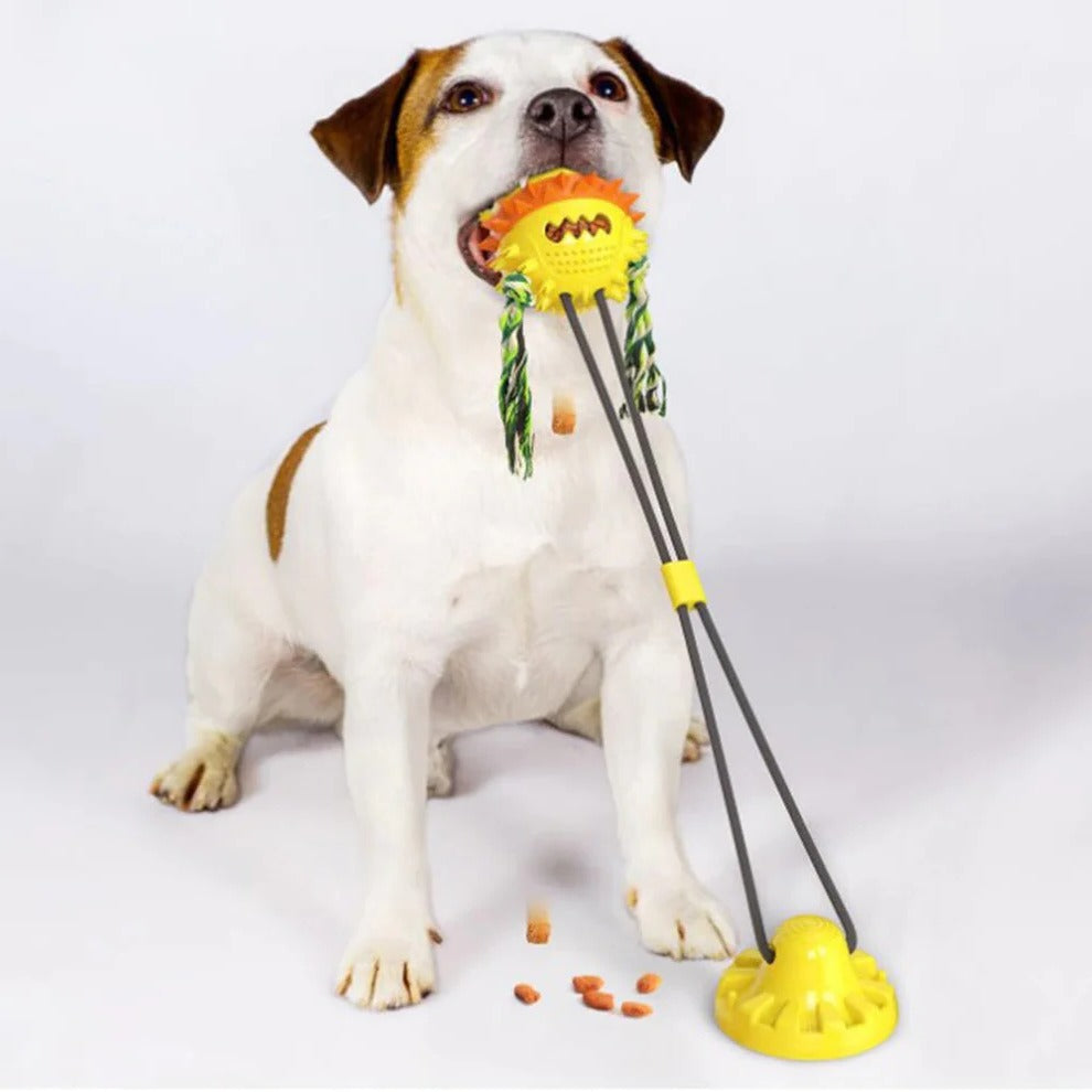 Self-Moving Dog Toy Ball, Chew Bars, Indoor/Outdoor Chase Play
